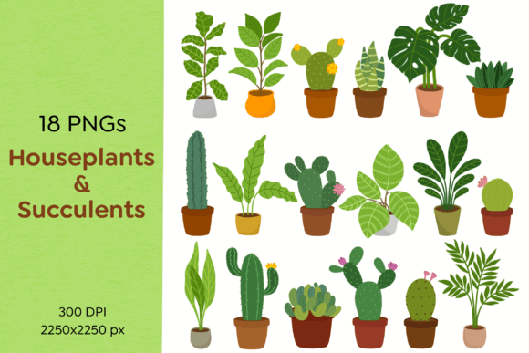 Houseplants and Succulents PNG Clipart: A Practical Guide to Choosing and Using High-Quality Digital Art