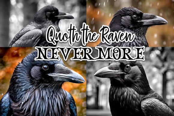 Quoth the Raven, Nevermore Photographic