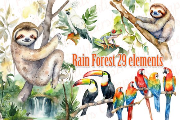 Rain Forest Clipart, Jungle Clipart, and the Sloth: Elevating Your Creative Projects