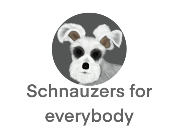 Schnauzers for Everybody: A Bold Design Statement