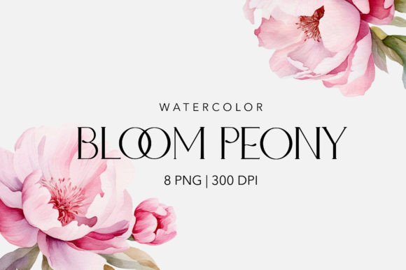 Watercolor Peony Magnolia Flowers